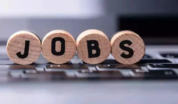 Ample Job Opportunities
