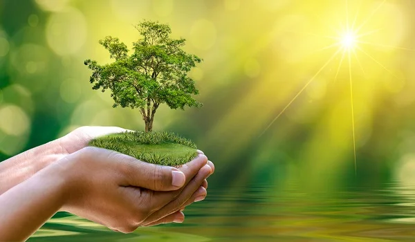 Eco-friendly Environment