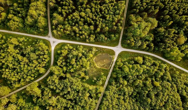 Sustainability Strategy and Vast Greenery